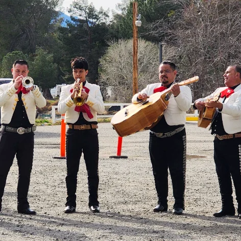 Stage Shows & Musicians